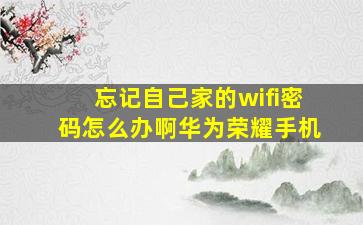 忘记自己家的wifi密码怎么办啊华为荣耀手机