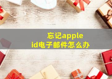 忘记apple id电子邮件怎么办