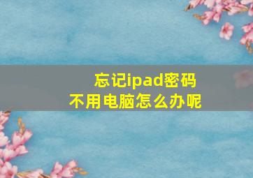 忘记ipad密码不用电脑怎么办呢