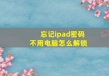 忘记ipad密码不用电脑怎么解锁