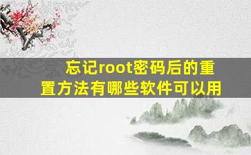 忘记root密码后的重置方法有哪些软件可以用