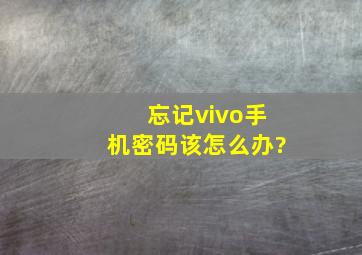 忘记vivo手机密码该怎么办?