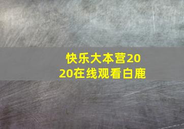 快乐大本营2020在线观看白鹿