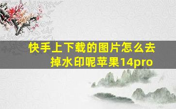 快手上下载的图片怎么去掉水印呢苹果14pro