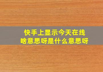 快手上显示今天在线啥意思呀是什么意思呀