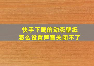 快手下载的动态壁纸怎么设置声音关闭不了