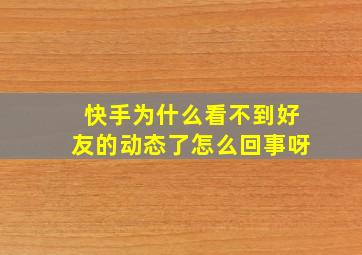 快手为什么看不到好友的动态了怎么回事呀