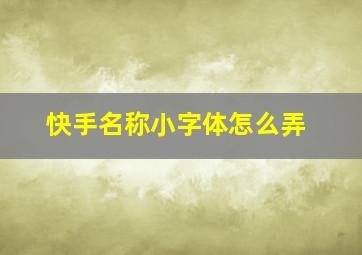 快手名称小字体怎么弄