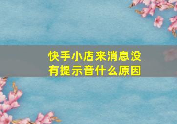 快手小店来消息没有提示音什么原因