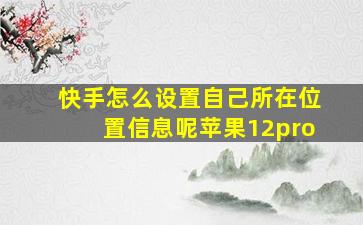 快手怎么设置自己所在位置信息呢苹果12pro