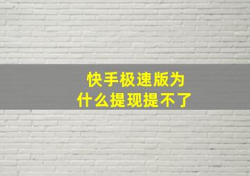 快手极速版为什么提现提不了