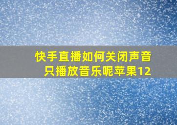 快手直播如何关闭声音只播放音乐呢苹果12