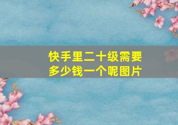 快手里二十级需要多少钱一个呢图片