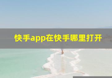 快手app在快手哪里打开