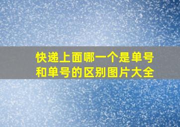 快递上面哪一个是单号和单号的区别图片大全