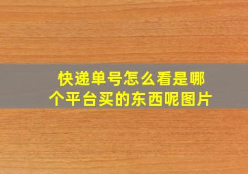 快递单号怎么看是哪个平台买的东西呢图片