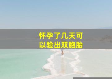 怀孕了几天可以验出双胞胎