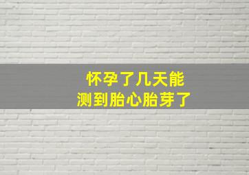 怀孕了几天能测到胎心胎芽了