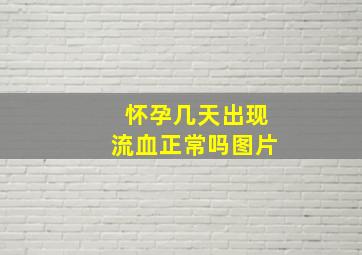 怀孕几天出现流血正常吗图片