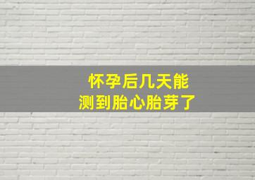 怀孕后几天能测到胎心胎芽了