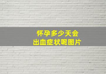 怀孕多少天会出血症状呢图片