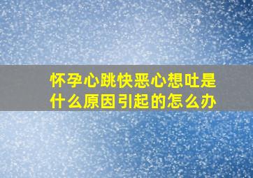 怀孕心跳快恶心想吐是什么原因引起的怎么办