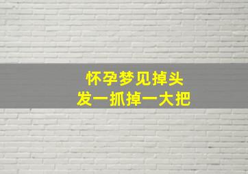 怀孕梦见掉头发一抓掉一大把