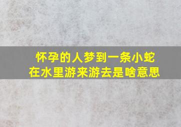 怀孕的人梦到一条小蛇在水里游来游去是啥意思