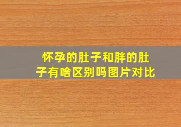 怀孕的肚子和胖的肚子有啥区别吗图片对比