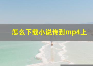 怎么下载小说传到mp4上