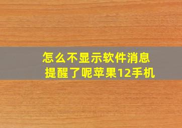 怎么不显示软件消息提醒了呢苹果12手机