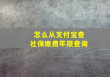 怎么从支付宝查社保缴费年限查询