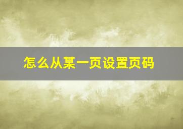 怎么从某一页设置页码