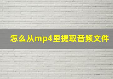 怎么从mp4里提取音频文件