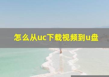 怎么从uc下载视频到u盘