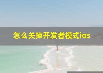 怎么关掉开发者模式ios