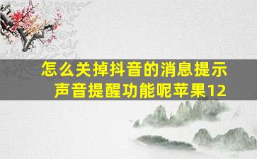 怎么关掉抖音的消息提示声音提醒功能呢苹果12