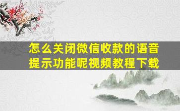 怎么关闭微信收款的语音提示功能呢视频教程下载