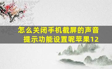 怎么关闭手机截屏的声音提示功能设置呢苹果12