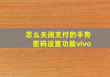 怎么关闭支付的手势密码设置功能vivo