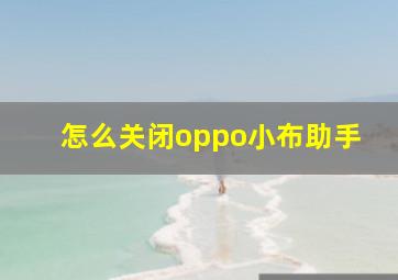 怎么关闭oppo小布助手