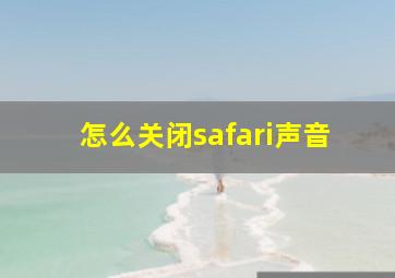 怎么关闭safari声音