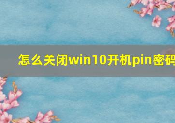 怎么关闭win10开机pin密码