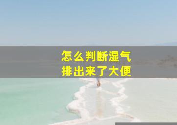 怎么判断湿气排出来了大便