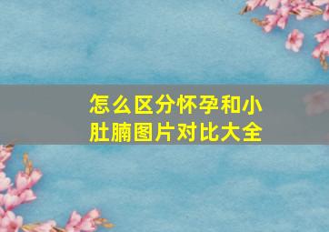 怎么区分怀孕和小肚腩图片对比大全