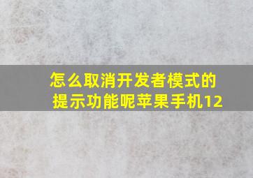 怎么取消开发者模式的提示功能呢苹果手机12