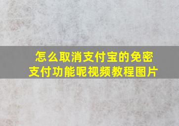 怎么取消支付宝的免密支付功能呢视频教程图片