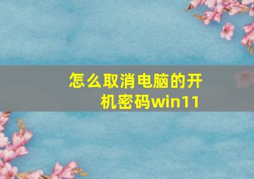 怎么取消电脑的开机密码win11