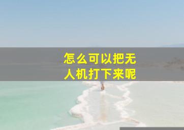 怎么可以把无人机打下来呢