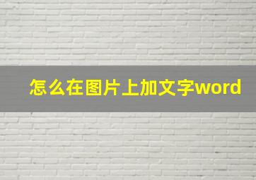 怎么在图片上加文字word